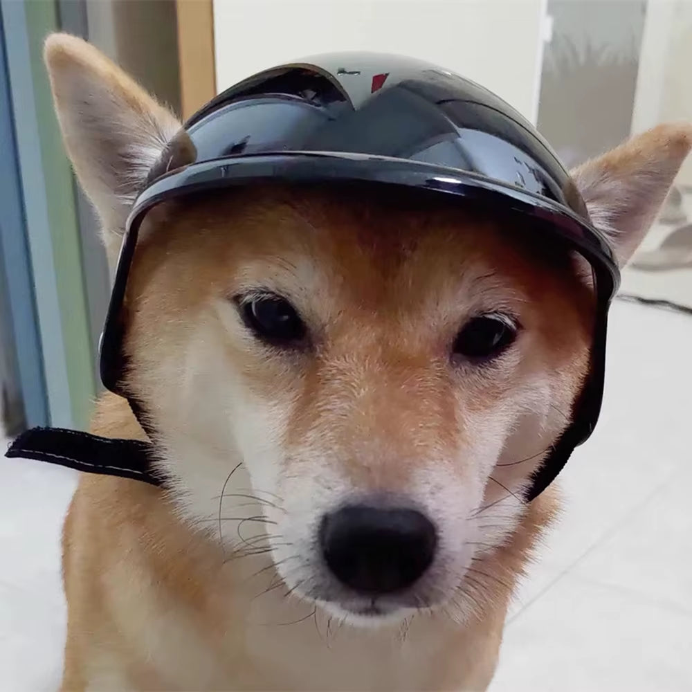 Hiking Cycling French Bulldog Pet Locomotive Helmet Handsome Dog Accessories for Small Medium Dogs Puppy Mascotas Hat Headgear