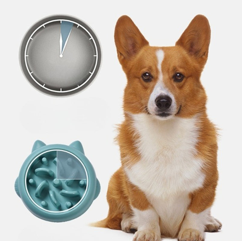 Anti-Gulp Slow Feeder Bowl for Dogs & Cats