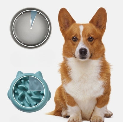 Anti-Gulp Slow Feeder Bowl for Dogs & Cats