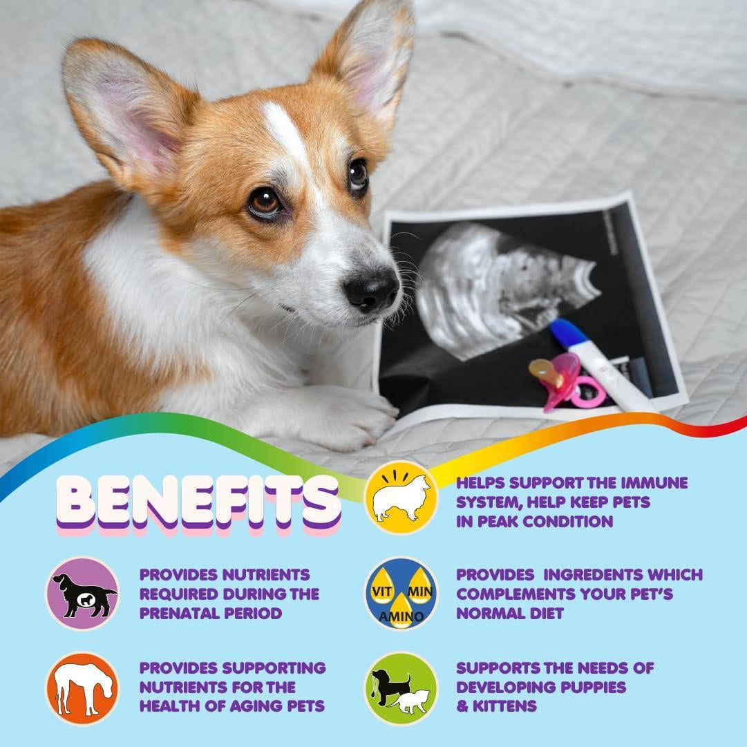 Prenatal Dog Vitamins 60 Pills for Dogs and Cats with Folic Acid Minerals