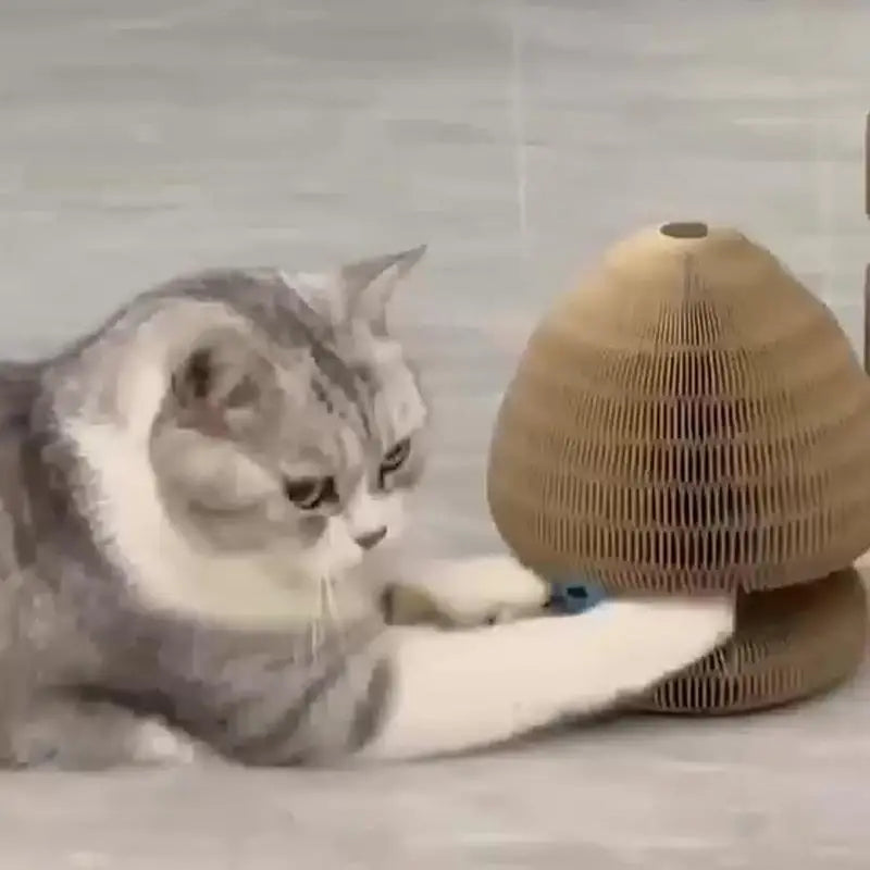 Interactive Corrugated Cat Scratcher with Ball