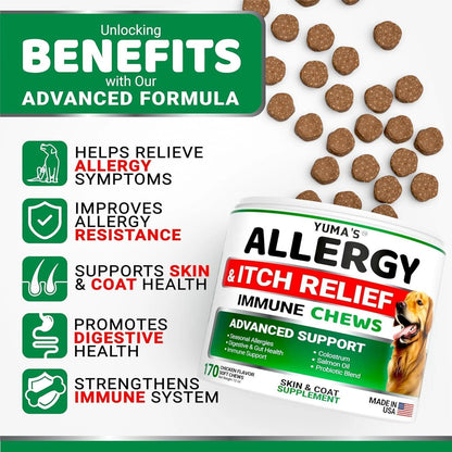 2 Pack Dog Allergy Relief Chews Dog Itching Skin Relief Treatment Pills anti Itch for Dogs Itchy and Paw Licking Dry Skin & Hot Spots Omega 3 Fish Oil Skin & Coat Supplement