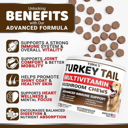 Turkey Tail Mushroom for Dogs Multivitamin Supplement Immune Support